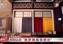 【千年经典向新行】宋锦：锦丝国色岁月华章